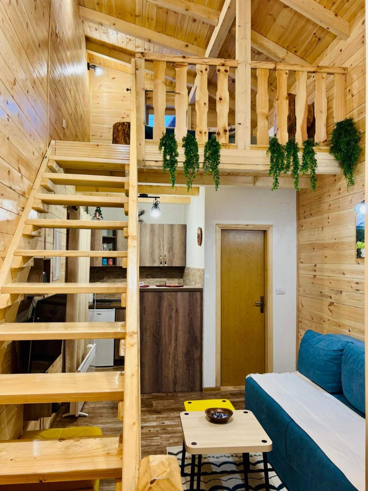 Apartmani Bozana Vojinovic Zabljak  Bagian luar foto
